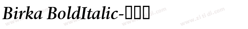 Birka BoldItalic字体转换